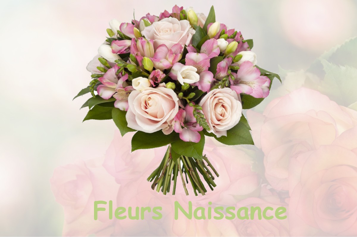 fleurs naissance NOEL-CERNEUX